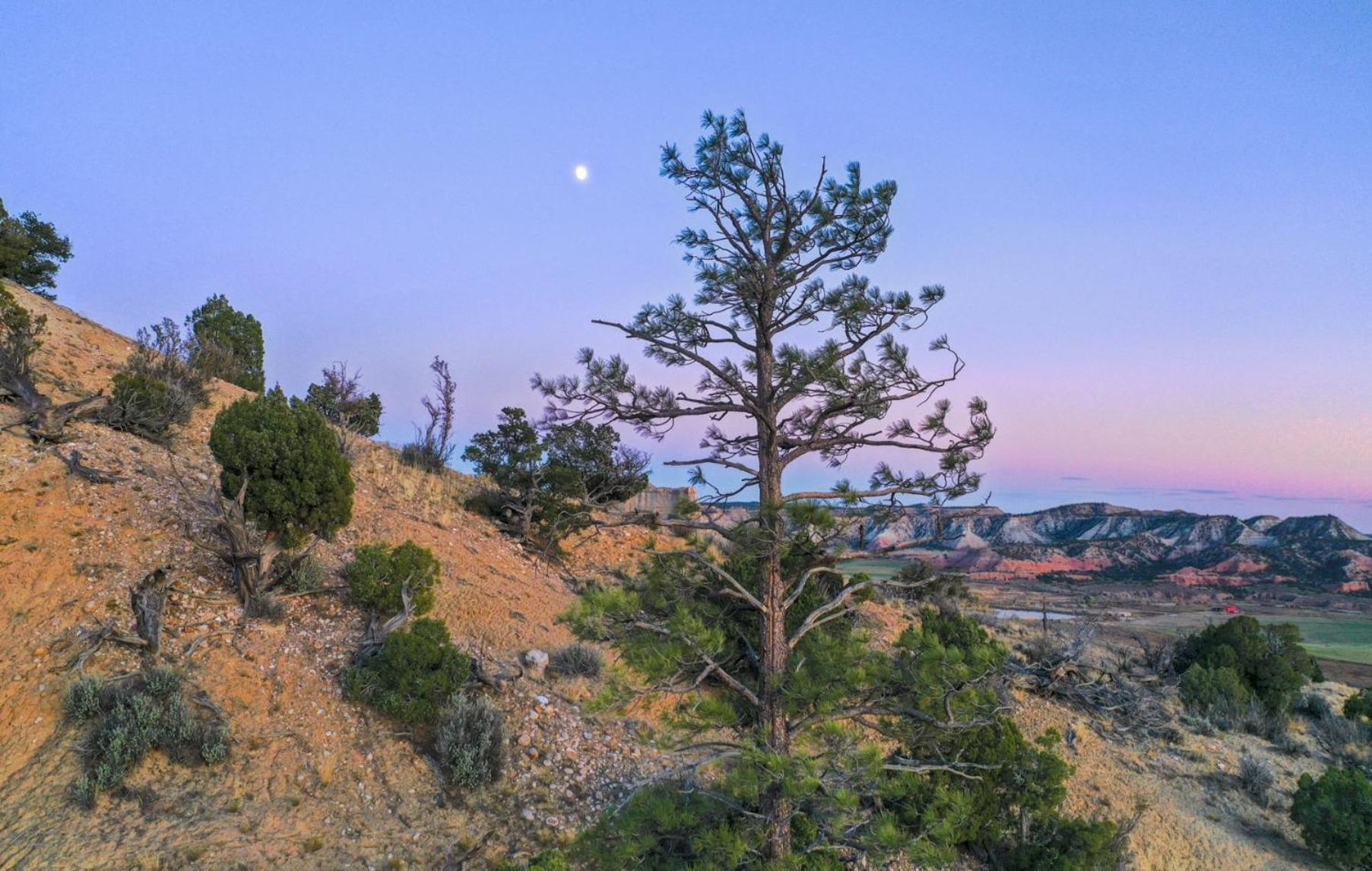 Clear Sky Resorts - Bryce Canyon - Unique Stargazing Domes Кэннонвилл Экстерьер фото